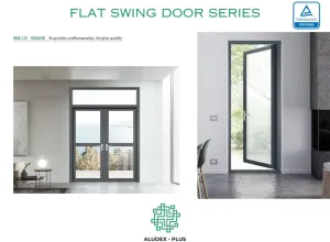 Gallery Flat Swing Door 2 ~blog/2024/6/10/2